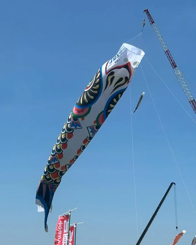 こんにちは😃
本日よりゴールデンウィーク休業が終わり通常営業を再開しております。
休業中は大変ご迷惑をお掛け致しました。  この休業中に私事ですが、加須市のジャンボ鯉のぼりを見に行ってきました🎏
約100メートルの大きさとの事でした。
下に通常サイズの鯉のぼりも泳いでいるので、比較対象になると思います✨
季節を感じるイベントでした。  今後もナカリンオートをよろしくお願い致します。